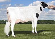 VG88, EXMS 405 3x 305d 35,380m 3.6 1264f 2.9 1010p lbs.