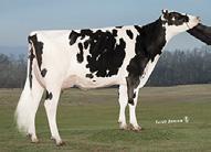 MGS: MINNIGANHILLS DAYET MGD: DEERVUEACRES ROBIN CRIET VG85, VGMS, GMD, DOM 110 3x 365d 33,140m 4.7 1563f 3.3 1101p lbs.
