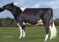 No: 74700496 100% RHANA DMS: 456345 aaa: 345 KappaCasein: AE Sire: BACONHILL MONTROSSET Dam: NOFLA SUPERSIRE 36385ET 110 3x 312d 25,775m 4.0 1027f 3.0 776p lbs.
