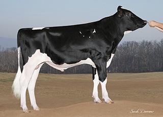 Avenger son, CRISweden Hälsa och fertilitet, Lättanvänd kvigdjur. 20180409 11:29 ACTION 1HO11971 WESSELCREST AVENGER ACTIONET Born: 07/19/15 Reg.