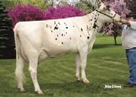 0 74%R FE 113 FI 3 PregCheck 101 86%R CDN 4/2018 Body Condition Score 106 Mastitis Resistance 108 Milking Speed 101 Milking Temperament 101 Storlek Lågställd Reslig 1.0 Kroppsst. Vek Stark 1.