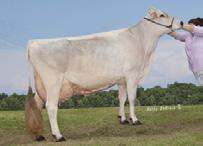 0 1127 94416 GC90 410 1 LNM$ +$492 90%R %ile 1 CM$ +$517 FM$ +$436 1110 94350 240/GC90 390 0 Milk 1069M 99%R 0 Protein 46P 0.04% Fat 40F 0.05% CFP 86 3.90 77%R SCS 2.93 1.