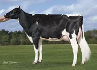 MGS: CHARLESDALE SUPERSTITIONET MGD: MORNINGVIEW P COLLETEET VG85, VGMS 302 3x 358d 36,680m 3.3 1197f 2.8 1041p lbs.