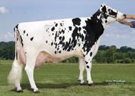 MGS: LONGLANGS OMAN OMANET MGD: WELCOME SHOTTLE LYNEXET EX90, EXMS, DOM 500 3x 365d 38,160m 4.0 1524f 3.2 1236p lbs.