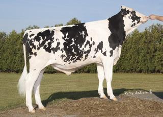 Milk 1287M 99%R PREF$ +$450 Protein 64P 0.09% MABL$ +$162 Fat 65F 0.06% CFP 129 Prod. Life 2.40 89%R DPR 1.4 94%R Daughters 2740 Herds 643 SCS 2.80 HAUSA PTA 4/2018 PTAT 2.00 96%R TPI 2463 UDC 1.