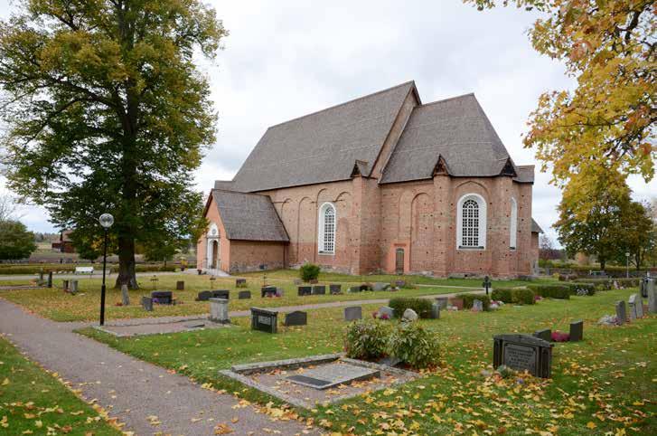 Trädvårdsplan för