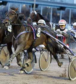 TRAVEXPERTENS PROGRAMTIPS Southwind Feji V-genrepar på hemmaplan!