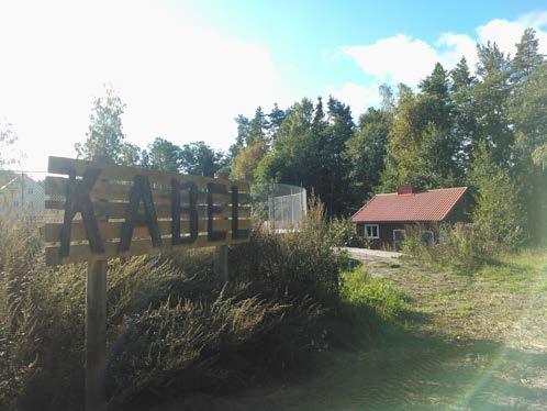 Näkymä etelästä; olemassa oleva varastorakennus alueen sisääntulon oikealla puolella.