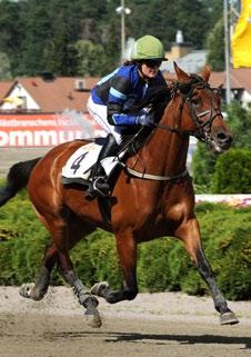 Jarvén Peter (Hd) 94 12 10. Punkari Lasse (S) 46 11 varav utlandet 6 1 11. Yttergren Åsa (Vi) 55 11 varav B-lopp 3 2 12. Persén Thomas (Vi) 92 11 varav B-lopp 8 2 13.