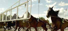 MR OZZY 9 16,6 K 14,8 AK 16,5 AM 70 100 5,br. v. e Zola Boko - 18: 9 1-0-0 14,8a 25 500 17: 11 1-2-0 18,0 39 100 Tot: 21 2-2-0 9 Olivia S.I.R. e Coktail Jet Berglund J U 6/4-2 8/ 2140n 1 19,9 c c 36