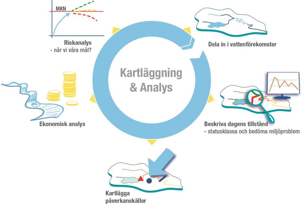 Statusklassificera och bedöma miljöproblem. Genomföra en ekonomisk analys för att ge det samhällsekonomiska perspektivet på vattenanvändningen och värdet av vattenresurserna.