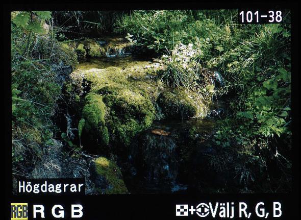 Då visas de delar av bilden som eventuellt är överexponerade, d.v.s utbrända, som blinkade fält.