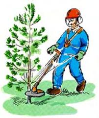 Som vanligt startade Naturpasset upp den 1 maj, och det har pågått fram till den sista augusti. Området har i år varit skogen vid Vivåsen / Skäggenäs / Sjögarp.