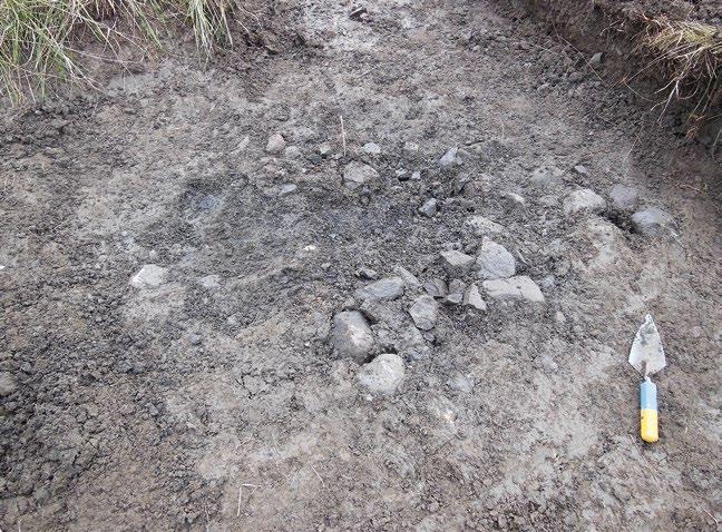 12 Nya fornlämningar vid Centrumvägen i Vagnhärad Figur 7. Den frampreparerade härden, objekt 5, fotograferad från söder. Foto: Wivianne Bondesson.