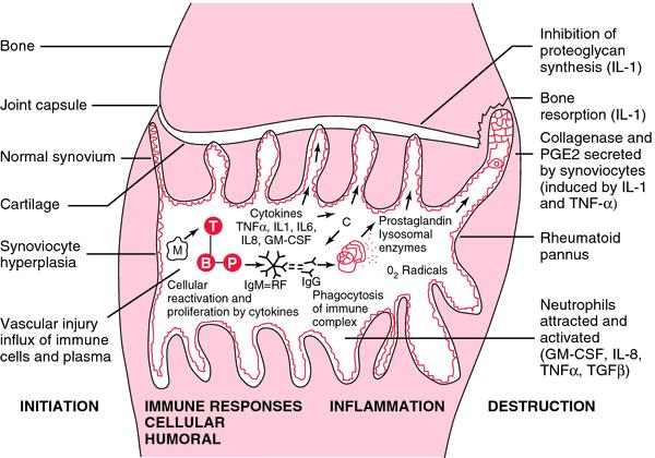 What is the effect of biologics?