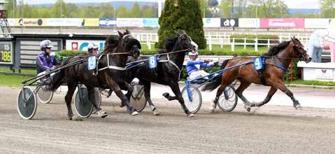 nyhetsbörsen maj2017 170519 Åstas Lotta en vinnare igen Kajsa Frick gästade Rommetravets V65-tävlingar med en häst idag.
