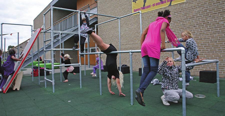 Balanslina, Scancord Parkour Monkey rails