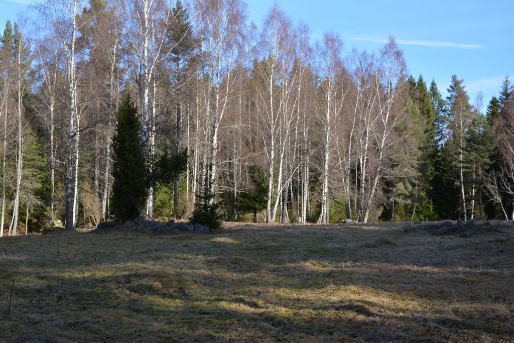 Liten Skogsgård i Lönneberga Skogsgård om ca 8,5 ha varav ca 6,5 ha skog.