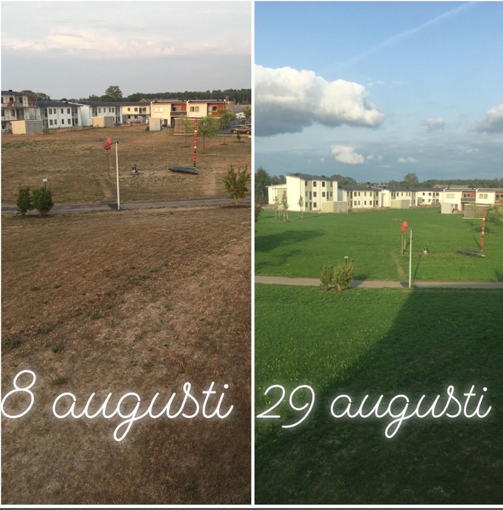 RUNSKRIFTEN NR 11 (dessa bilder är tagna på samma ställe i Helsingborg, 8 samt 29 augusti) Hur som helst, vår styrelse kommer att träffa ett energibolag under hösten för att få information om