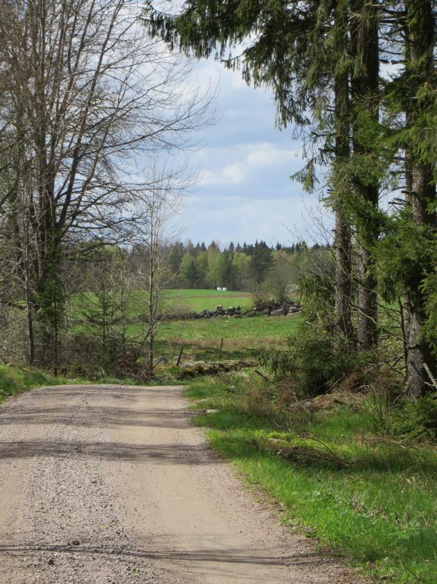 blir terrängen lätt kuperad, där ängs- och hagmark