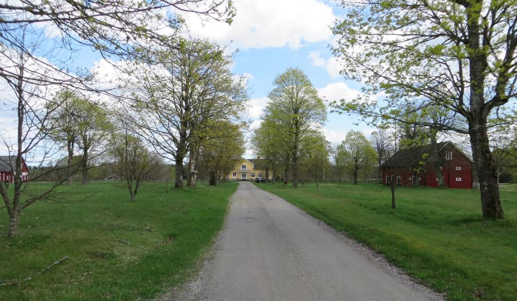 Uppfarten till gårdens huvudbyggnad. Till höger ses sädesmagasinet.