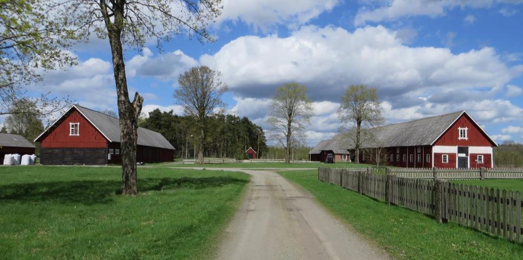 De två långsträckta ekonomibyggnaderna (1905) är