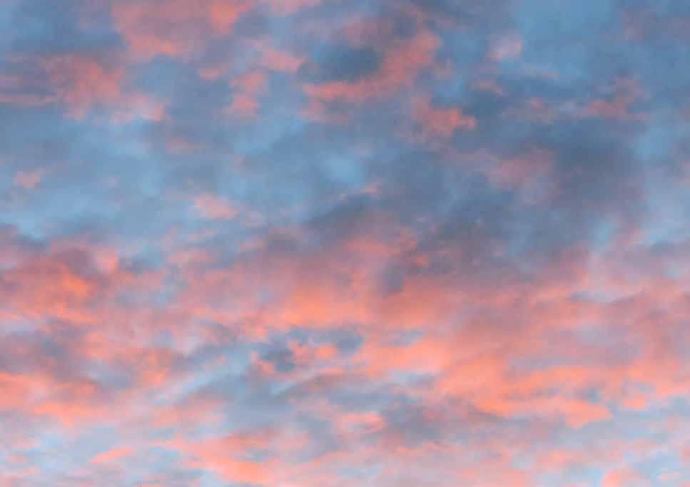 värnas kärnvärden värnas kärnvärden VÄRNAS kärnvärden Människans spirituella dimension grunden för vår människosyn Människans jag hennes individualitet, kan inte reduceras till att vara en produkt av
