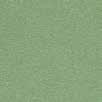lanc/gris NS S8000-N rafit raphite rafit raphite NS S4005-Y20R eige eige