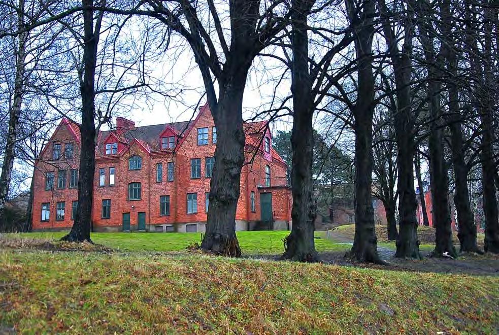 Detta bidrar till att anläggningen får en pondus och upphöjd ställning i området. Sjukpaviljongen sett från nordöst med dess omkringliggande växtlighet.