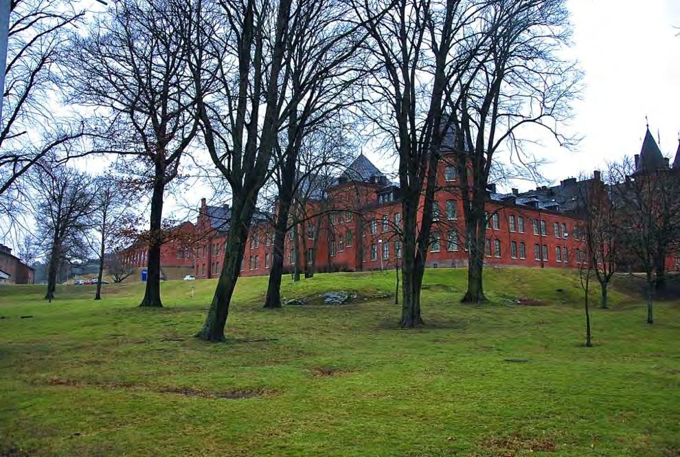 Park och trädgård Hela kasernområdet genomsyras av växtlighet, där parkanläggningen framför Kvibergs kaserner ingår i byggnadsminnet och därmed visar på grönskans betydelse i området.