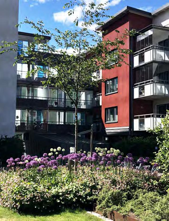FOTO: Portalgatan, Uppsala Plantering på bjälklag, terass och i