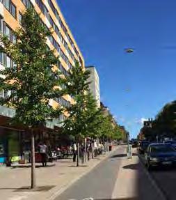 ROTMILJÖ AVGÖR TRÄDETS LIVSLÄNGD I URBANA PLANTERINGAR VIKTIGA FUNKTIONER GOD SYRETILLGÅNG