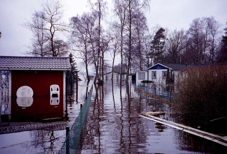 Figur 3. Översvämmade bostadshus vid Finjasjön i Hässleholm 22-2-6 (vattenståndet steg fram till den 14 februari med ytterligare 12 cm). Fotograf Martin Häggström.