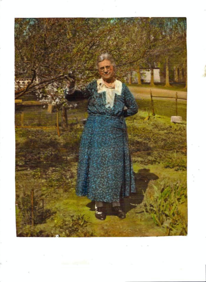 Probandus Helena Sophia Edberg (Johnson, Johnsdotter)) (1135). Born 1856-09-11 in Hönetorp, Hjortsberga m Kvenneberga (G) (hfl Hjotsberga 1856-60 sid 348).