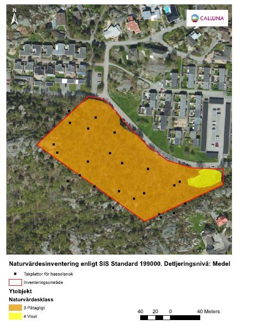 Påtagligt naturvärde markerat med orange och visst naturvärde markerat med gult Ett naturreservat planeras väster om planområdet, men kommer inte att påverkas av exploateringen.