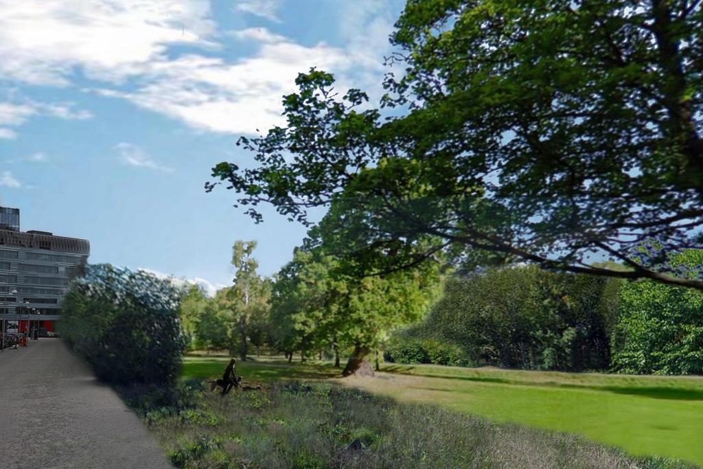 Innanför rondellen där Evenemangsgatan och Råsta strandväg möts. Här skapas öppna ytor med sittplatser där människor kan mötas t.