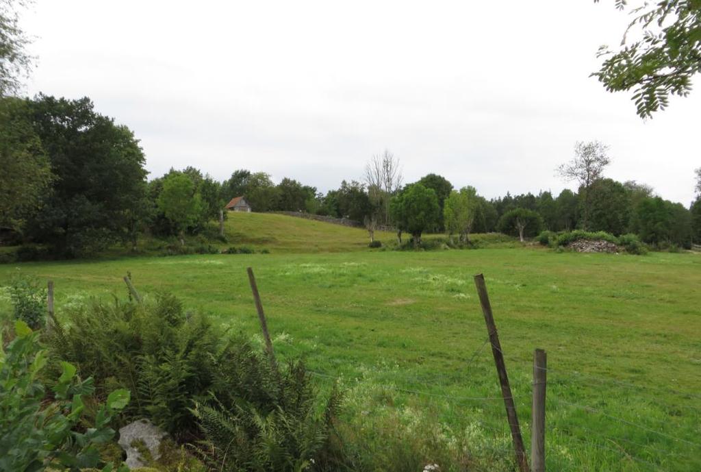 Den öppna odlingsmarken mitt i byn, på storskifteskartan benämnd Brunnsåkern och Kyrkåkern.