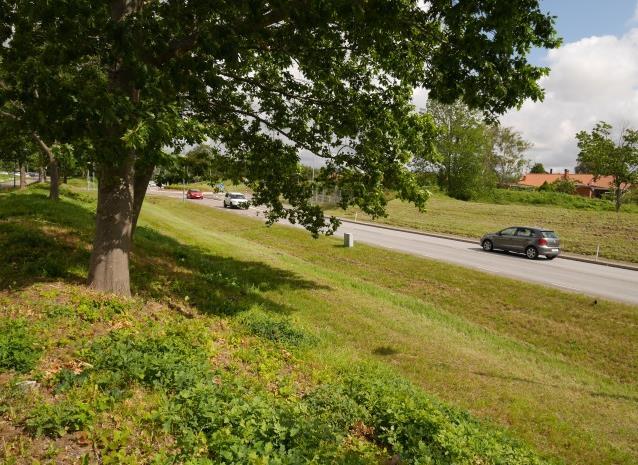 Svackdike, ek & bullervall (till höger i bild) mot Bifrostgatan. Skolgården vid Pedagogen Park. Lindhagaplan centralt i området. Kyrkogården väster om planområdet.
