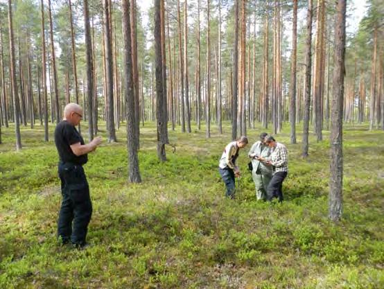 Som framgår av nedanstående tabell är de vanligaste lämningstyperna som registrerats i FMIS vid årets inventering härdar, kolningsanläggningar och kokgropar.