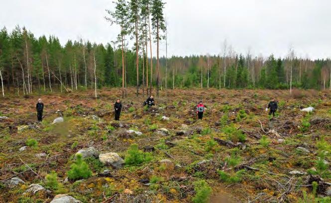 Administrativa och tekniska uppgifter Vbm dnr 622/09 Lst dnr 435-8144-2011 Lst beslutsdatum 2012-11-06 Län Västerbotten Landskap Västerbotten Kommun Skellefteå, Robertsfors, Umeå Socken Bureå,