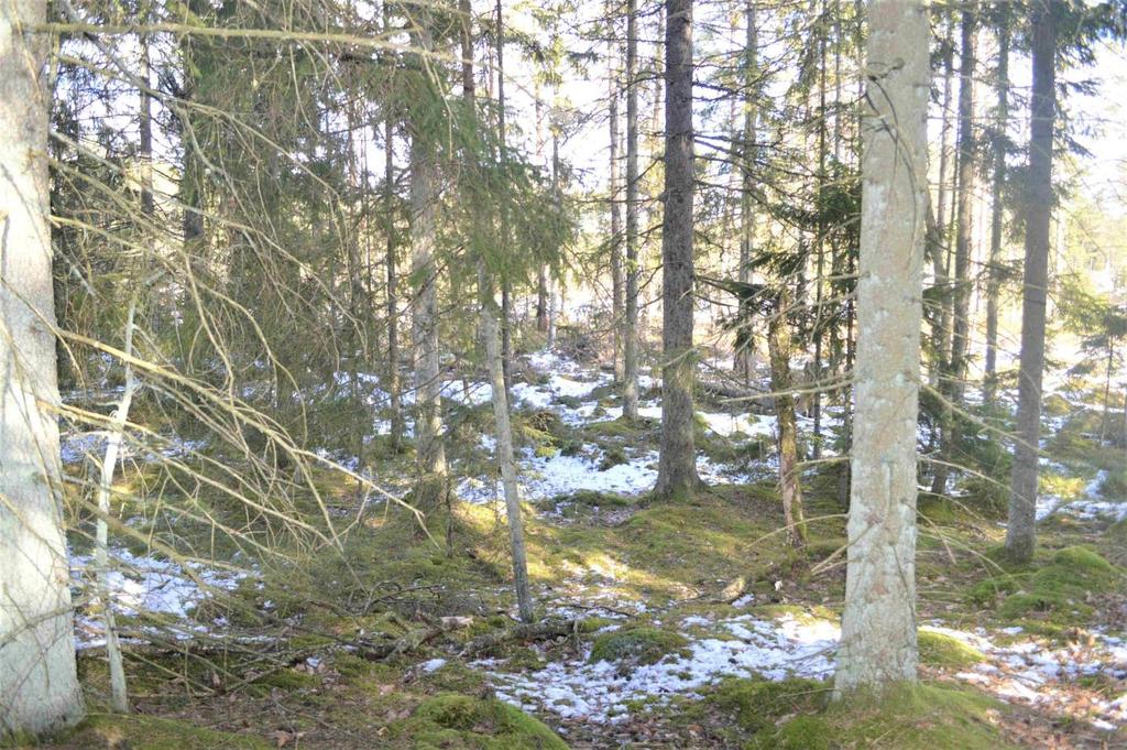 Lån och Inteckningar Fastigheten överlåts obelånad. Fastigheten är fri från inteckningar. Visning Enskild besiktning. Intresserade har möjlighet att på egen hand besöka Fastigheten.