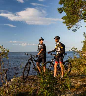 BESÖKSMÅL PÅ KINNEKULLE 1. SCOOTERMUSEUM 2. MARTORPSFALLEN 3.