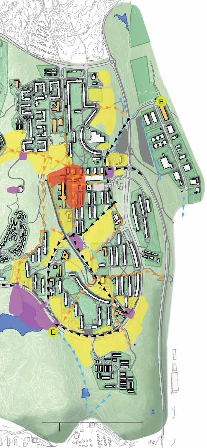 FORTSATT PROCESS Många aktörer kommer att vara inblandade i utvecklingen av programområdet.