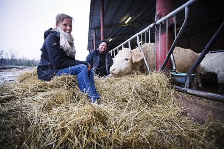 För att bygga en biogasanläggning krävs tillstånd från Länsstyrelsen. Att söka det är en process med samråd, ansökan och kompletteringar till ansökan.