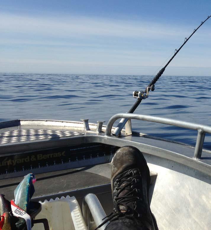 4 Verksamhetsrapporter I detta kapitel berättar olika organisationer verksamma på fritidsfiskets och fisketurismens område om sin organisation och verksamhet under 2017.