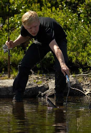 Naturvård och fisketurism kan göra skillnad tillsammans Innan vattenkraften byggdes ut i Sverige var Nedre Dalälven ett viktigt område för vandrande fisk som lax, ål och öring.
