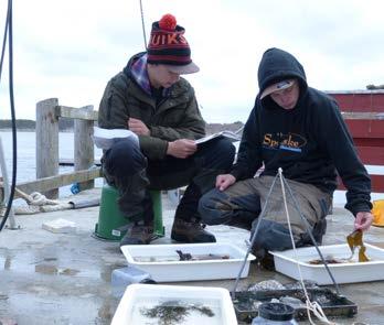 Verksamhetsåret 2017 Sportfiskeutbildningarna på ForshagaAkademin är fortsatt mycket populära att studera på. Vid terminsstart hösten 2017 var det cirka 110 sportfiskeelever på skolan.