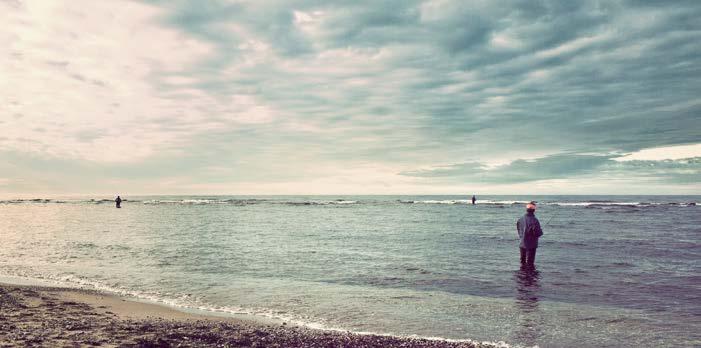 Om Havs- och vattenmyndigheten Havs- och vattenmyndigheten (HaV) är ansvarig myndighet på miljöområdet för frågor om bevarande, restaurering och hållbart nyttjande av hav, sjöar och vattendrag.