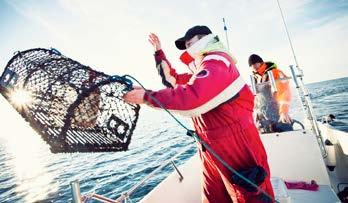 Antalet redskapsdagar En redskapsdag är en dag då den fiskande använt ett visst redskap och fiskemetod. Under en fiskedag kan flera redskap och fiskemetoder och redskap användas. Den fiskande kan t.
