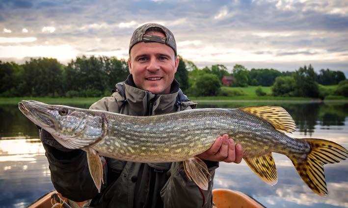 SVENSK HANDEL Om Svensk Sportfiskehandel Branschorganisationen Svensk Sportfiskehandel gick tidigare under namnet SPOFA Spöfiske och bildades år 2000.